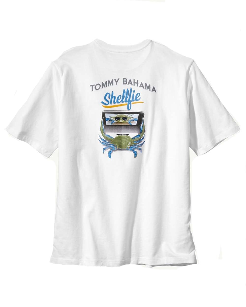 Best tommy bahama pair beach chairs