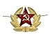 SOVIET ARMY RED STAR INSIGNIA USSR HAMMER & SICKLE HEAD GEAR BADGE