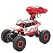 Rabing Newer 2.4GHz Racing Cars RC Cars Remote Control Cars Electric Rock Crawler Radio Control Vehicle Off Road Cars