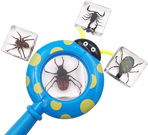 Amazon 4個組 昆虫 クモ綱の樹脂標本 Stemセット 虫眼鏡 豆知識ポスター 生態 採集 おもちゃ