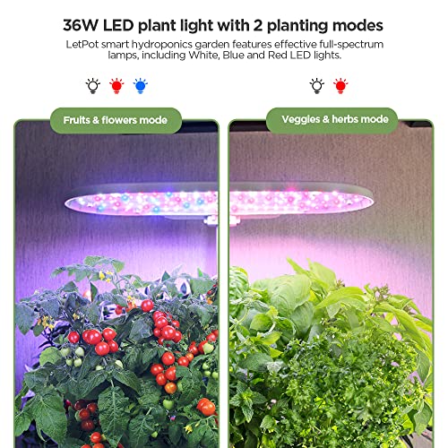 LetPot 15 Pods Smart Hydroponics Growing System with App and WiFi