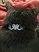 BINGPET BA3009 Soft Velvet Safe Cat Adjustable Collar with Crystal Heart Charm and Bells , Blue