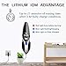 WELIKERA 12V 100W Cordless Handheld Vacuum with Stainless Steel Filter(Black)