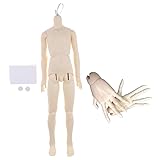 Prettyia 1/3 Scale BJD Doll Boy Nude Body Jointed