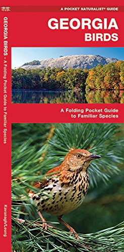 Download Georgia Birds: A Folding Pocket Guide to Familiar Species (Pocket Naturalist Guide Series) (A Pocket Naturalist Guide)