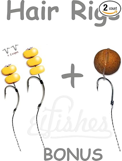 Amazon Com 2pcs Carp Hair Fishing Rigs 20lb Braid Hooks 4 6