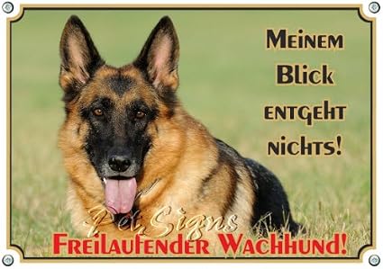 Panneau Chien Berger Allemand Plaque Attention Chien De