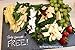 Cohas Slate Food and Cheese Platter or Art Board Includes 3 Medium 8 by 12 Inch Boards, Undrilled Gray Slate