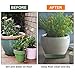 TITE Plant Saucer 10 inch Drip Trays Dark Green Plastic Tray Saucers Indoor Outdoor Flower Pot Round (10 in x 5 Pack)