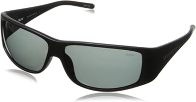 bmw polarized sunglasses