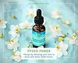 Hydro: Primer Organically Allows Skin to Plump using 100% vegan Sodium Hyaluronate