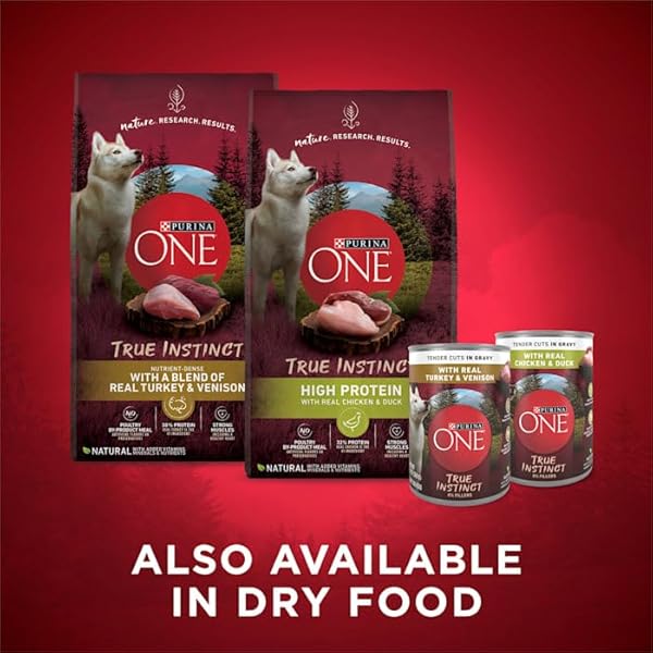 PURINA ONE NATURAL SMARTBLEND TRUE INSTINCT TENDER CUTS GRAVY WET DOG FOOD VARIETY PACK, 13 OZ., COUNT OF 6