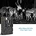Trail Camera - PetElf 1080P 16MP Hunting Trail Game Camera Wildlife Monitoring Cam 48pcs IR LEDs Night Vision Motion Activated, 2.4