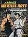 Manga Martial Arts: Over 50 Basic Lessons for Drawing the World's Most Popular Fighting Style by David Okum