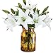 RERXN Artificial Tiger Lily Latex Real Touch Flower Home Wedding Party Decor,Pack of 5 (White)