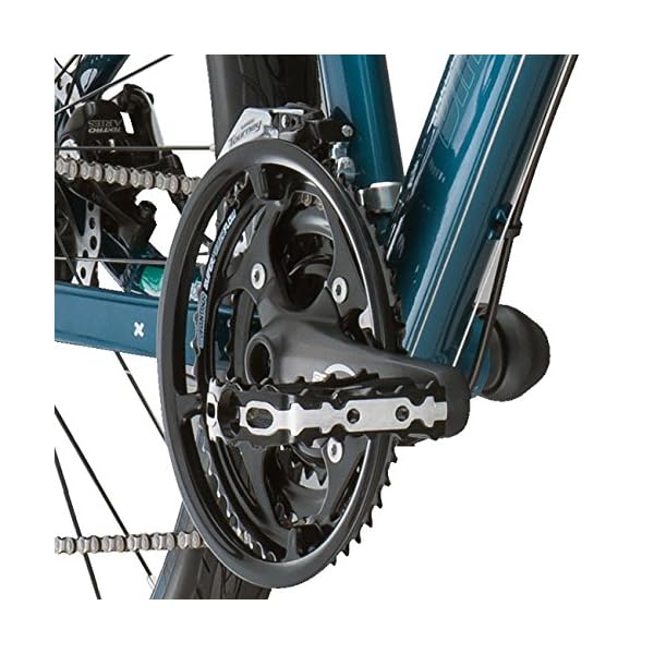 diamondback calico 1