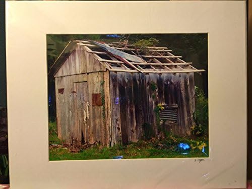 Photograph of Old Barn Shack Matted 16" x 20" actual size 11" x 14" By Sandy