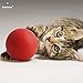SunGrow Indestructible Puppy Ball, 3.5 Inches Diameter, Red, Tough Chew Toy for Aggressive Puppies, Ultra Bouncy for Fetch and Chase Game, Entertainment for Hours, Strong Rubber Ball