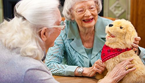 Joy for All Robotic Sitting Golden Dog - Stuffed Animal Therapy for People with Memory Loss from Aging and Caregivers - Thumbnail 3