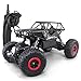 SZJJX RC Cars Off-Road Rock Vehicle Crawler Truck 2.4Ghz 4WD High Speed 1:14 Radio Remote Control Racing Cars Electric Fast Race Buggy Hobby Car Black