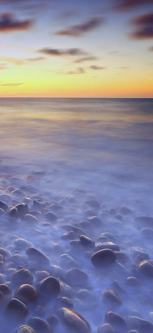 PeelitStickit, Beautiful Nature Wall Murals, ID-2874, vinyl, Multi-colour