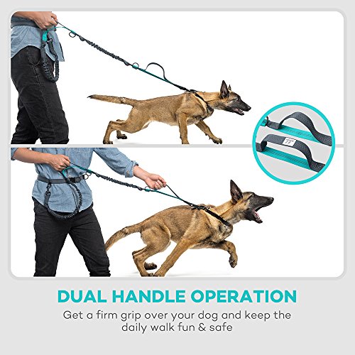 TAOTRONICS Retractable Hands Free Dog Leash with Dual Bungees for up to 150 lbs Large Dogs