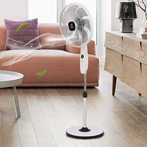Toolsempire Pedestal Fan Quiet High Velocity Oscillating Stand Fans