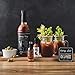 The Bloody Mary Cocktail Set | Includes Bloody Mary Mix, 2 Mason Jars with Handles, 2 Gourmet Hot Sauces, and Celery Salt