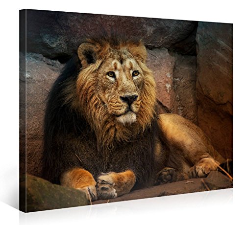 Powerful, Captivating and Majestic Lion Wall Art - Animal Wall Decor