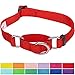 Blueberry Pet Essentials Martingale Safety Training Dog Collar, Rouge Red, Large, Heavy Duty Nylon Adjustable Collars for Dogs