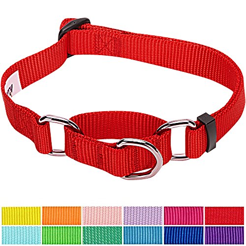 Blueberry Pet Essentials Martingale Safety Training Dog Collar, Rouge Red, Large, Heavy Duty Nylon Adjustable Collars for Dogs