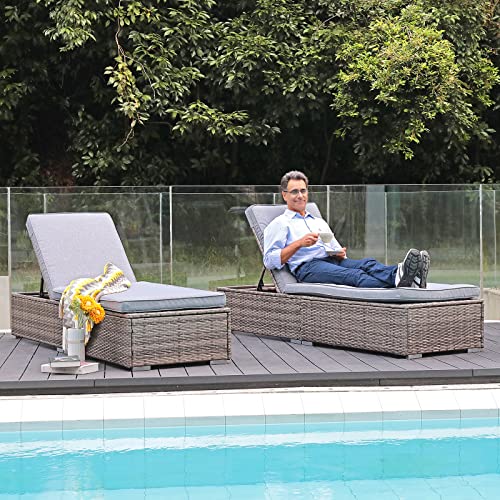 Patiorama Outdoor Patio Chaise Lounge Chair, Elegant Reclining