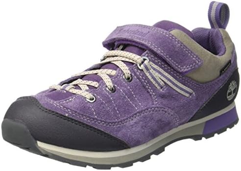 timberland griffin park low gtx