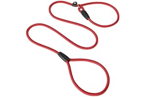 Integrated Pet Lead Walking Rope Nylon Buckle Shock Control P Chain Escape Resistant Training Connector Medium Size 0.31 Inch