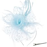 DRESHOW Fascinators Hat Flower Mesh Ribbons Feathers on a Headband and a Clip Tea Party Headwear for Girls and Women
