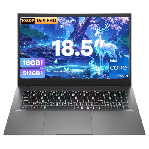 BIRDPLAY 18.5 Inch Laptop