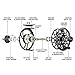 Piscifun Sword Fly Fishing Reels with CNC-machined Aluminum Alloy Body Fly Reel 3/4wt (Black)