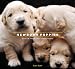 Newborn Puppies: Dogs in Their First Three Weeks