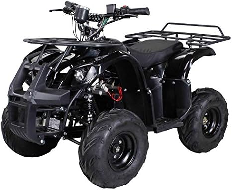 Kinder Elektro Quad S 8 Farmer 1000 Watt Miniquad Schwarz