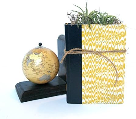 Unique Air Plant Planter with 2 Tillandsia Plants, Handmade from Vintage Books