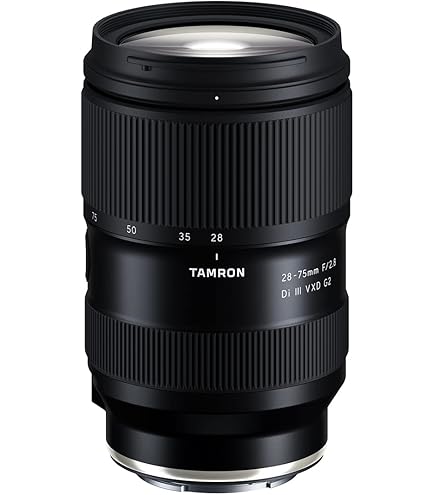 Amazon.com : Tamron 17-28mm f/2.8 Di III RXD for Sony Mirrorless  