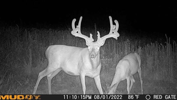 MUDDY MITIGATOR CELLULAR 24MP IMAGING TRAIL CAMERA WITH 80 FEET DETECTION AND FLASH RANGE AND 0.7-SECOND TRIGGER SPEED