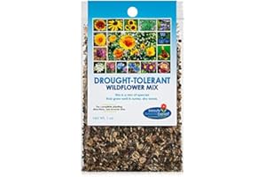 BEAUTY BEYOND BELIEF WILDFLOWER SEEDS Drought Resistant Wildflower Seeds Open-Pollinated Bulk Flower Seed Mix for Beautiful Perennial, Annual Garden Flowers - No Fillers - 1 oz Packet Sell by Dec 2024