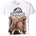 Jurassic World Boys' Short Sleeve T-Shirt