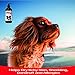 Wild Alaskan Salmon Oil for Dogs 16oz – Soft Shiny Coats, Dry Skin, Itching, Shedding & Allergies - Pure Natural Omega 3 Fish Oil for Dogs Liquid Pump - Multiple Benefits - Fish Oil Dogs Cats & Pets