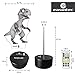 Night Light Dinosaur 7 Colors Change with Remote Control Good Night Light for Nursery or Kids Bedroom by Easuntec (Dinosaur)