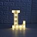 DELICORE LED Marquee Letter Lights Alphabet Light Up Sign for Wedding Home Party Bar Decoration L