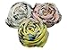 Demarkt Chiffon Chic Rose Butterfly Print Chic Elegant Scarf (Pink)