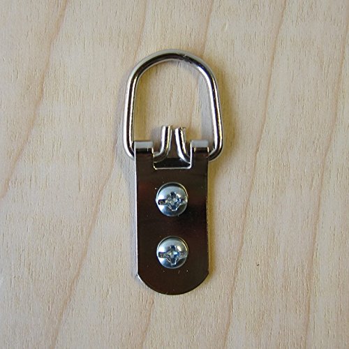 Heavy Duty DRing Picture Hangers 100 Pack 2 Hole with Screws