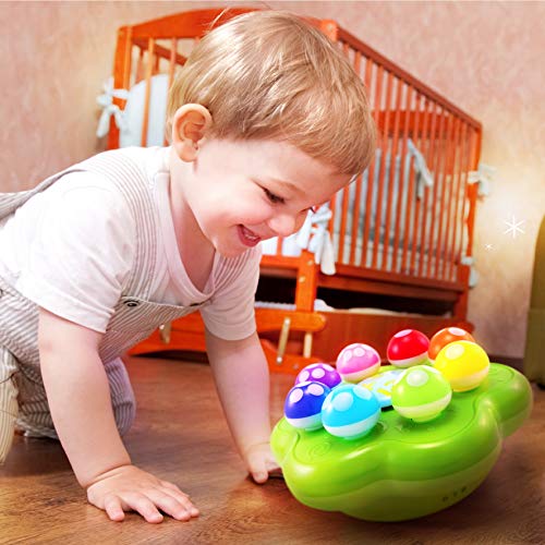 2 BEST+LEARNING+Mushroom+Garden+Educational